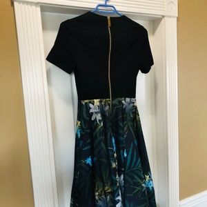 Ted Baker London Floral Black Skater Dress